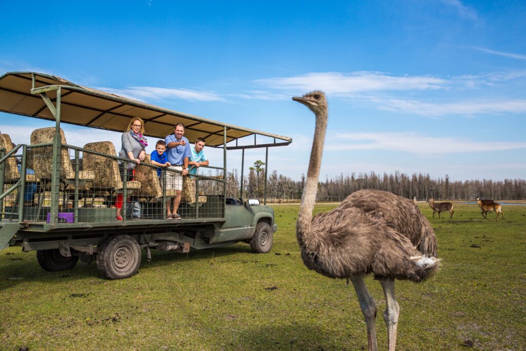 Un auténtico safari africano en Florida, a una hora de Orlando