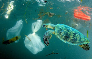 ¿Es posible un mundo sin plásticos?