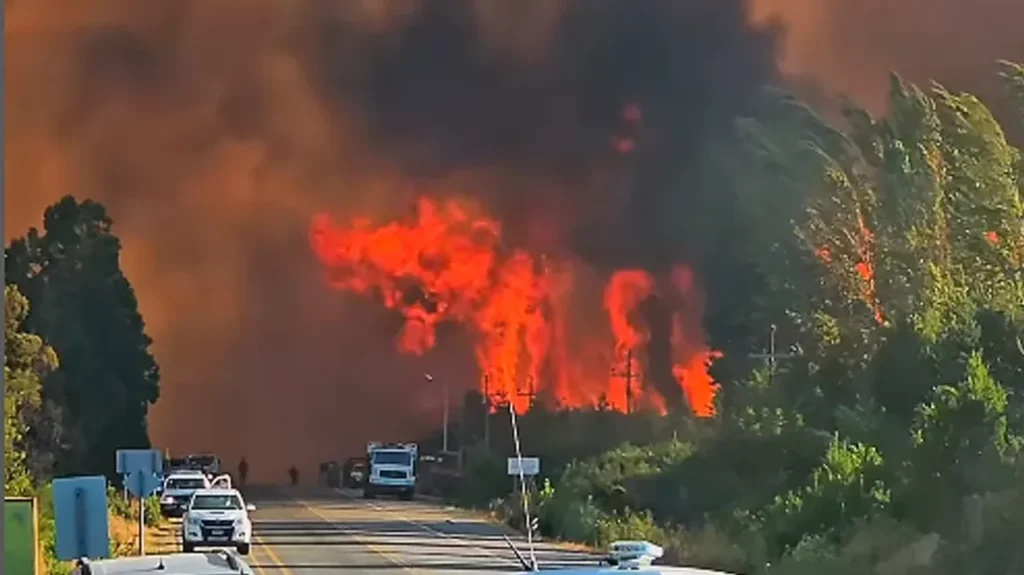 ¿Por qué hay tantos incendios en la Patagonia en el verano de 2025?